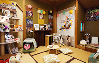 まいちゃんのお部屋