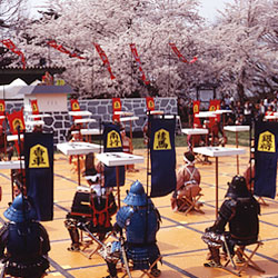 Maizuruyama (Tendo Park)