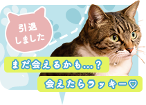 引退しました。まだ会えるかも…？会えたらラッキー