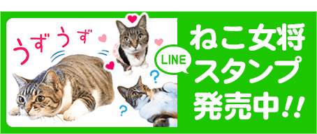 ねこ女将LINEスタンプ発売中!!